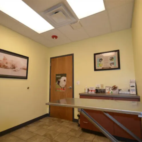 Animal Medical Clinic of Wheaton